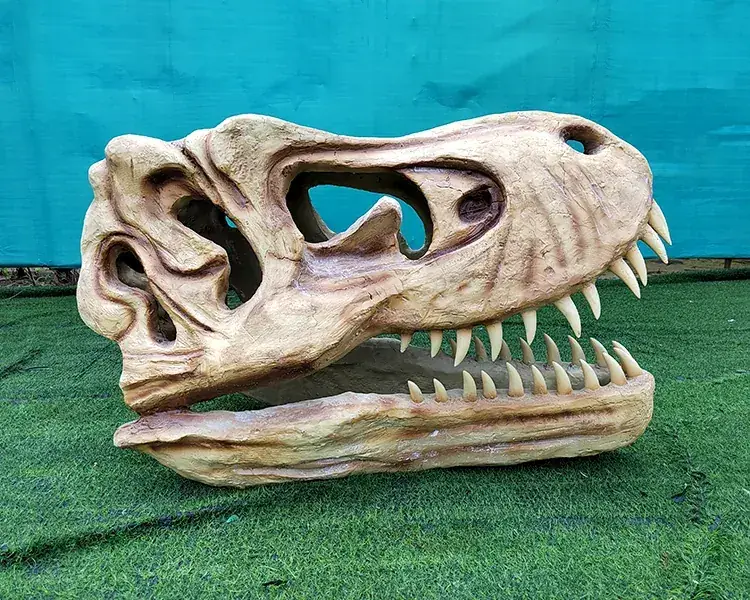 Cráneo de T-Rex (réplica de museo), una de las figuras que suministramos para exposiciones — exposiciones en Granada