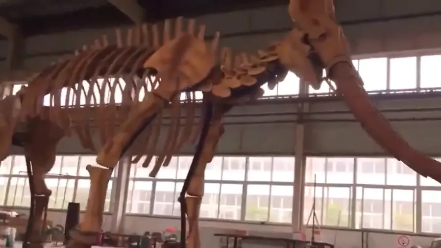 Esqueleto de mamut (réplica), una de las figuras que suministramos para exposiciones — dinosaurios en Ourense