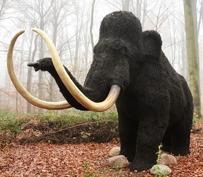 Mamut lanudo animatrónico, una de las figuras que suministramos para exposiciones — exposiciones en Vitoria-Gasteiz
