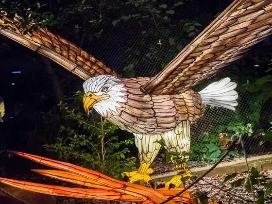 Águila luminosa LED