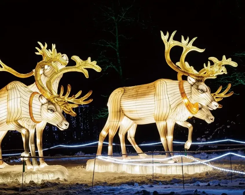 Dos ciervos luminosos LED de gran cornamenta en un recorrido nocturno