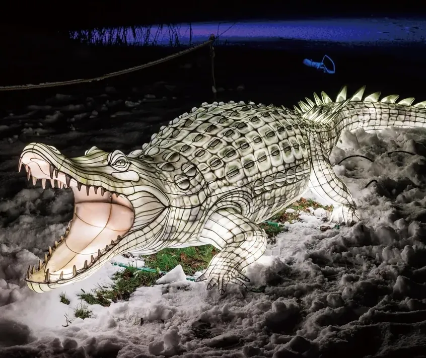 Cocodrilo luminoso LED de gran tamaño con las fauces abiertas