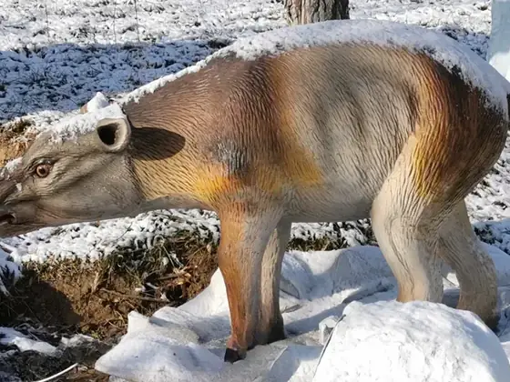 Coryphodon animatrónico