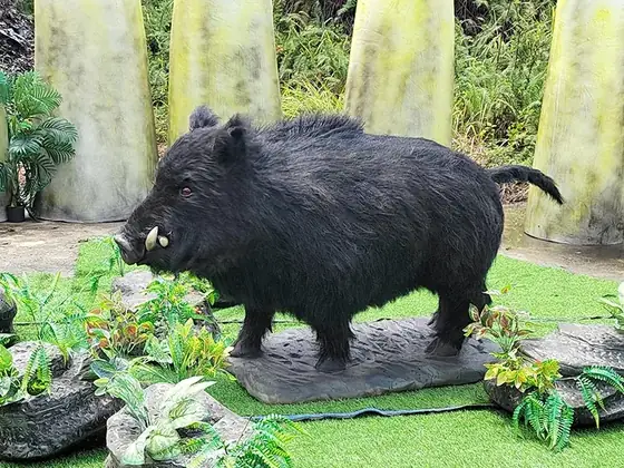 Jabalí animatrónico