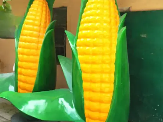 Mazorcas de maíz gigantes