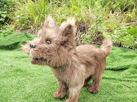 Perro animatrónico
