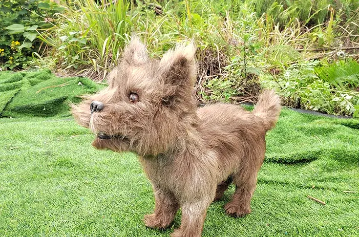 Perro animatrónico