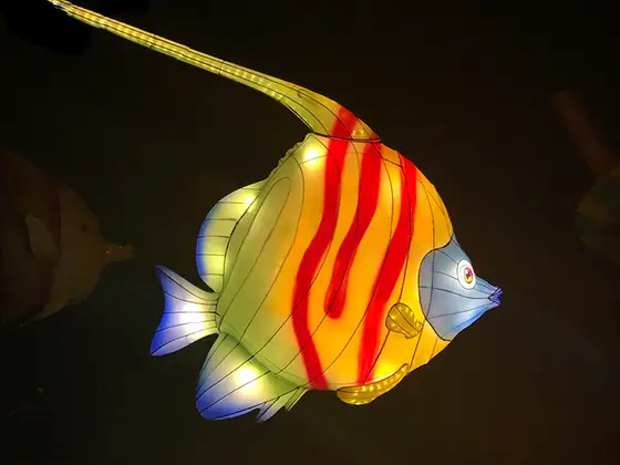 Pez ídolo moro luminoso LED con bandas verticales amarillas, blancas y rojas y una aleta dorsal muy larga en forma de látigo