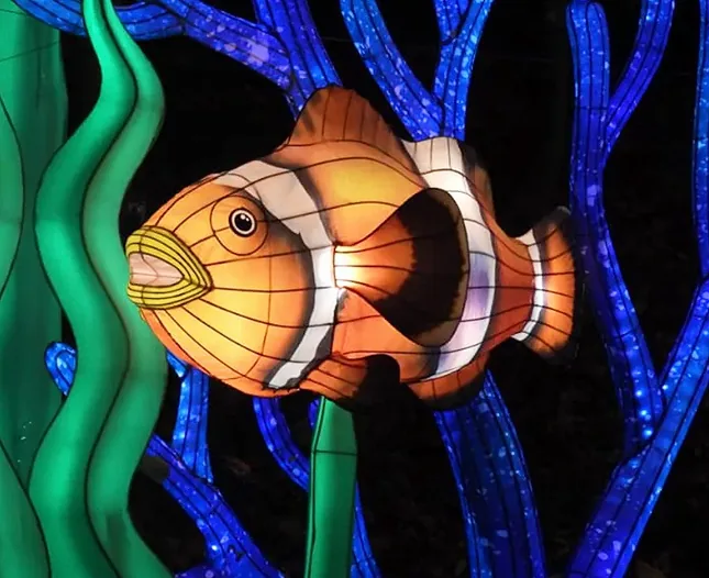 Pez payaso luminoso LED
