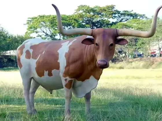 Toro watusi animatrónico