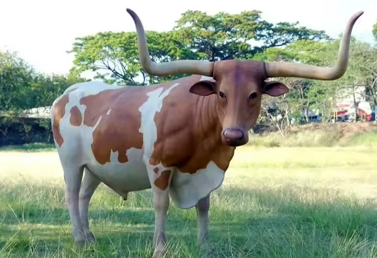 Toro watusi animatrónico
